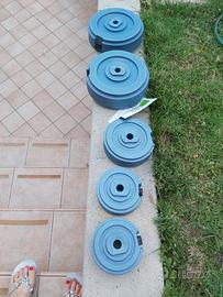 Fitness and bodybuilding