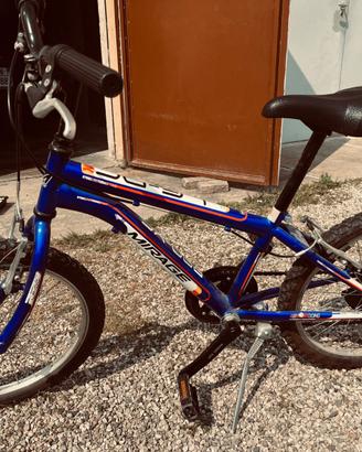 Bicicletta bambino