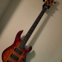 Basso 5 corde Sterling MusicMan Stingray RAY 35 HH