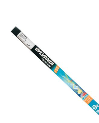 NEON SYLVANIA AQUASTAR 30 W (BIANCA 10.000K) -