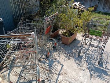 carrelli spesa