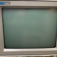 Terminali video ibm anni 90 vintage