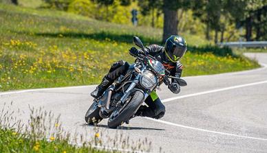 ducati monster 696 plus