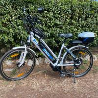 Ebike Migi