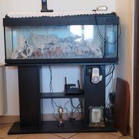 Acquario 100 Lt