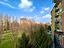 Immagine 14