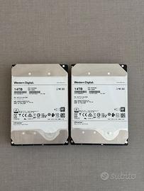 2 HD WD 14 TB DC HC530 SAS ENTERPRISE SALUTE 100%