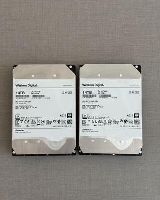 2 HD WD 14 TB DC HC530 SAS ENTERPRISE SALUTE 100%