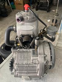 Motore go kart tm kz r1