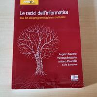 Libro universitario "Le radici dell'informatica" 