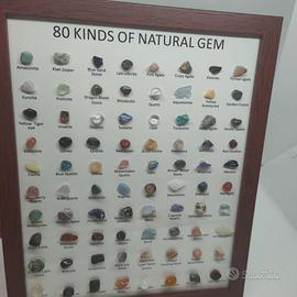 Quadro Collezione Minerali 80 Pietre Naturali