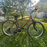 Bici Esperia