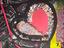 Immagine 2