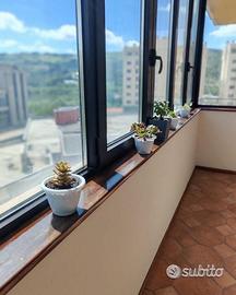 140 mq viale Marconi ristrutturato