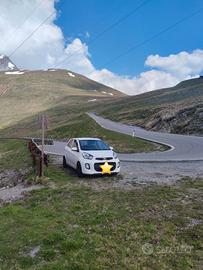 Kia Picanto a benzina - forte tosta e indipendente