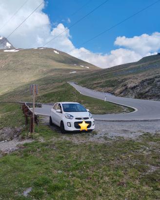 Kia Picanto a benzina - forte tosta e indipendente