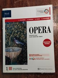 Testo di STORIA DELL'ARTE "OPERA"- 1ª liceo
