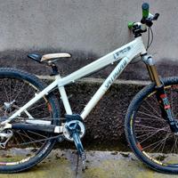 Specialized P3 dirt