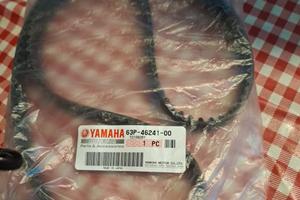 cinghia yamaha 63P-46241-00