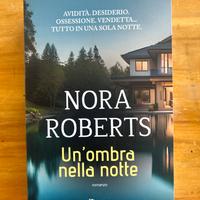 Un’ombra nella notte