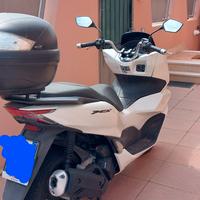 honda pcx