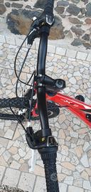 mountain bike
