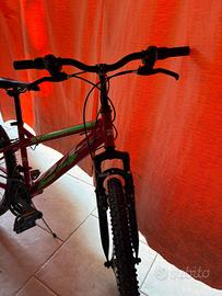 bici uomo