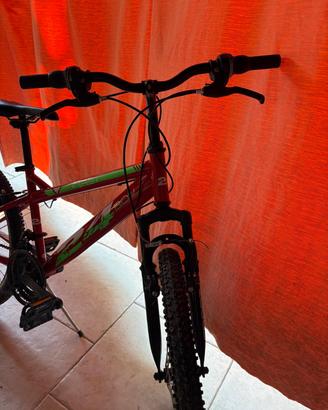 bici uomo