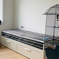 Divano letto singolo / matrimoniale Ikea