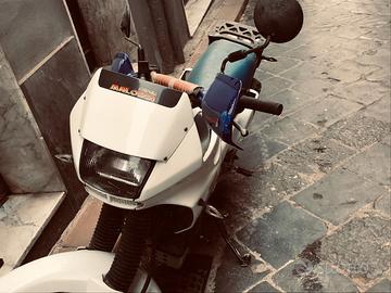 Dominator 650
