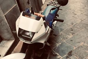 Dominator 650