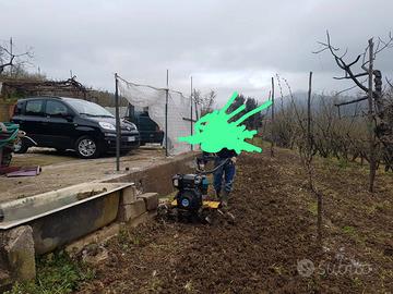 Terreno Agricolo con Deposito