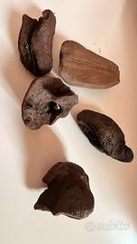 Legno