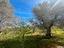 Immagine 15