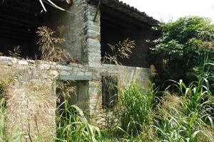 Rustico/Casale/Corte Agugliaro