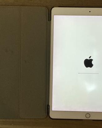 Apple IPad Pro 10,5 2017