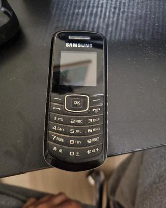 Samsung GT-E1080W - con caricabatteria - funzionan