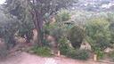 rif-3650rv57381-villa-caltanissetta