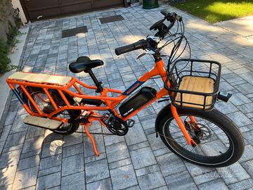 Cargo bike elettrica RadWagon 4 (tipo longtail)