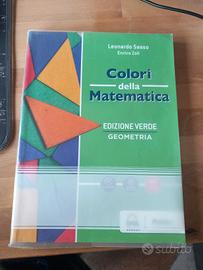 Libro "Colori della Matematica, Geometria" verde  