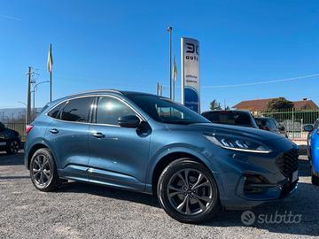 Ford Kuga 2.0 EcoBlue 120 CV aut. 2WD ST-Line 2023