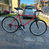 bici mountain bike 