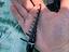 Immagine 2