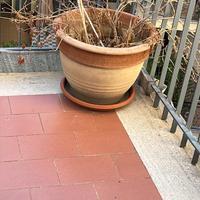 Vaso di terracotta