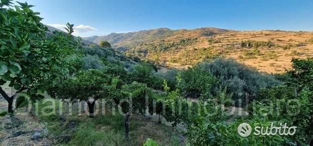 Terreno agricolo 12.000 mq a piedimonte etneo - Vista 3