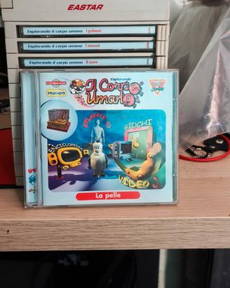 raccolta DVD 