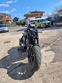 Benda Chinchilla 500