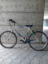 bicletta mtb