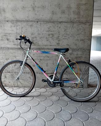 bicletta mtb