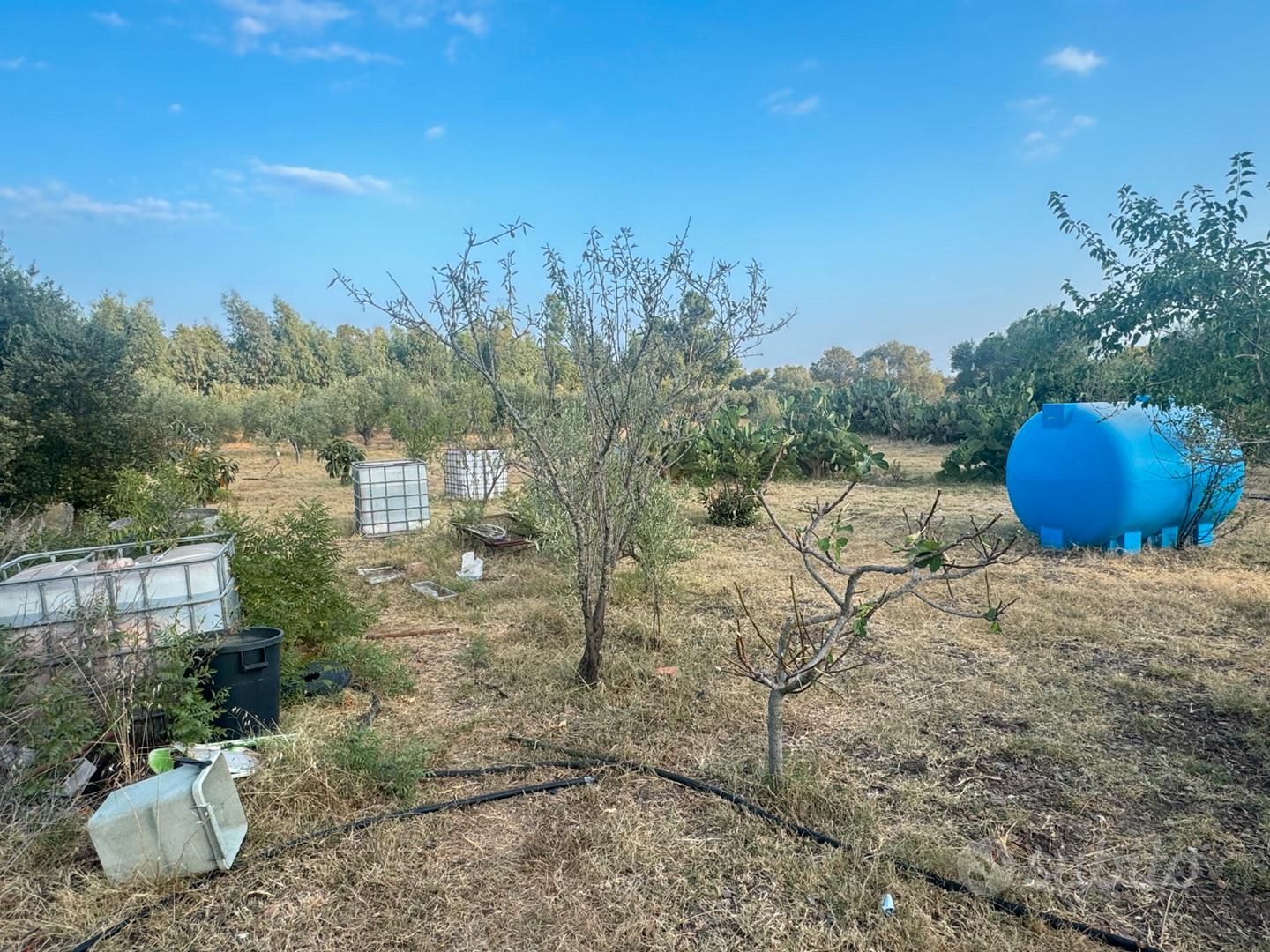 Terreno agricolo con fabbricato e riserva idrica - Vista 2